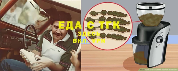 хмурый Абаза