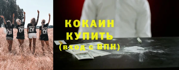 хмурый Абаза