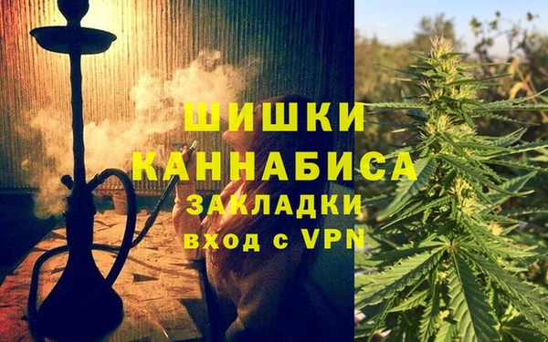 прущие грибы Абдулино