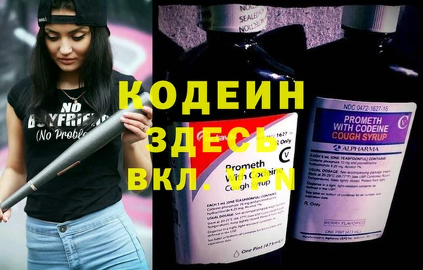 прущие грибы Абдулино