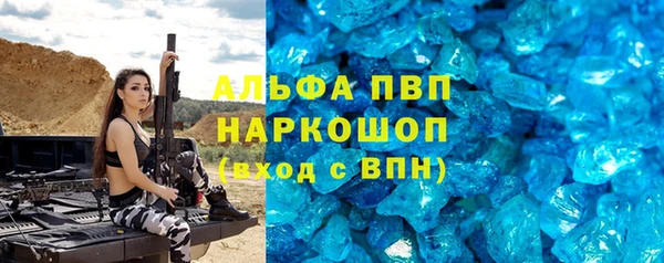 хмурый Абаза