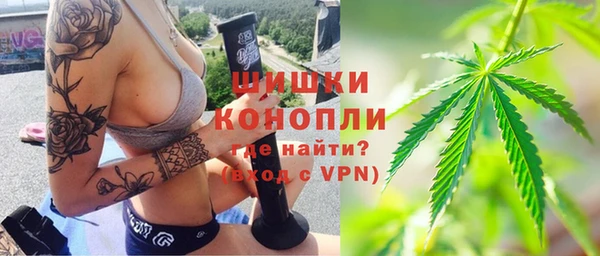 хмурый Абаза