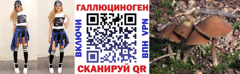 Галлюциногенные грибы прущие грибы KRAKEN ссылки Приморско-Ахтарск